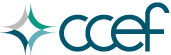 Collective Clean Energy Fund